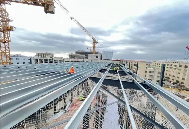 1719968217720722.jpg 5.jpg